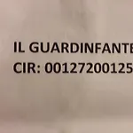 Moleloca - Il Guardinfante